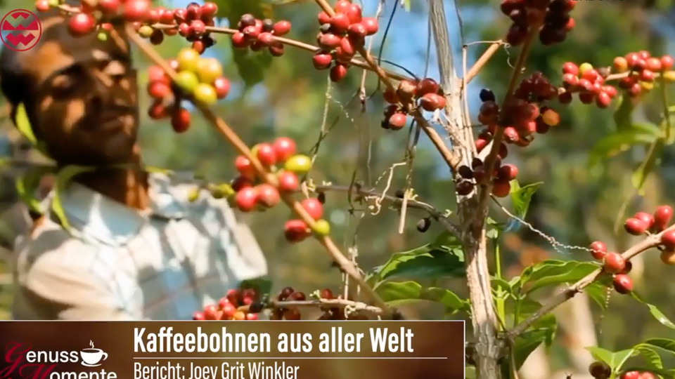 Aromatisches Kaffeeerlebnis